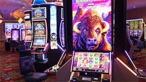 6pool Live Casino